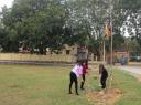 ảnh tròng cay 1.jpg - 